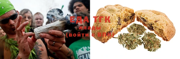 гидра Липки