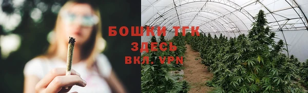 гидра Липки