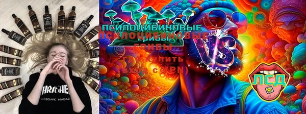 гидра Липки