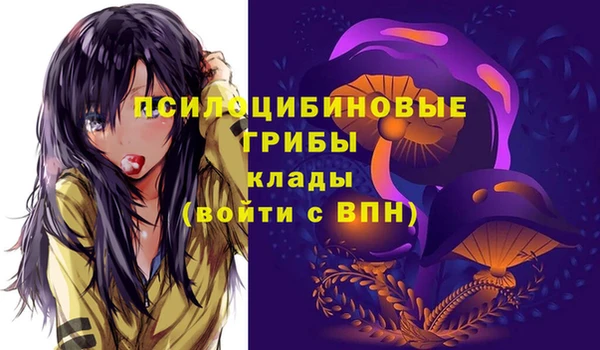 гидра Липки