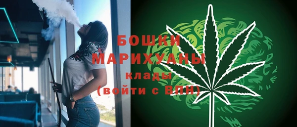 гидра Липки